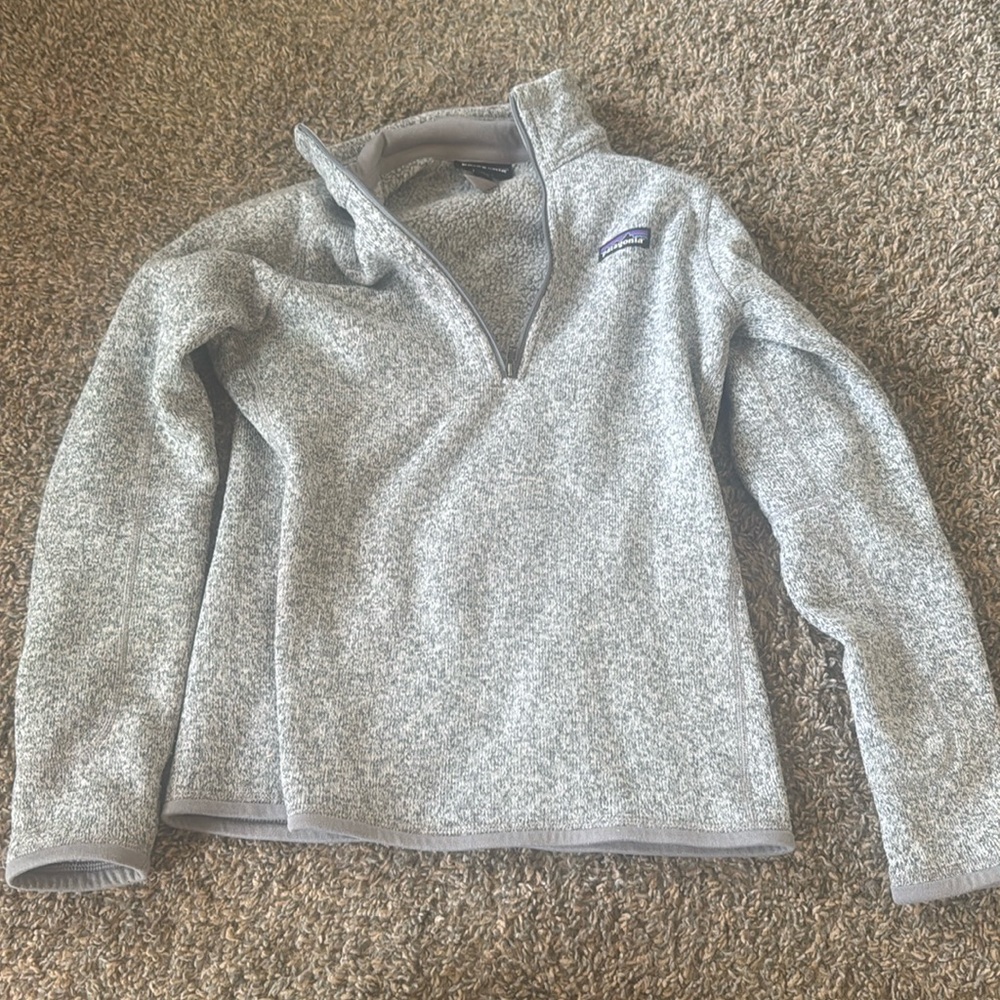Patagonia sweatshirt